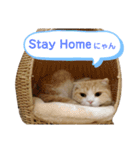 cuteな家族（個別スタンプ：2）