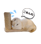 cuteな家族（個別スタンプ：3）