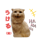 cuteな家族（個別スタンプ：7）