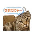 cuteな家族（個別スタンプ：10）