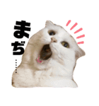 cuteな家族（個別スタンプ：11）