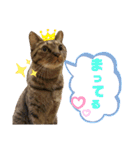 cuteな家族（個別スタンプ：12）
