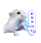 cuteな家族（個別スタンプ：15）