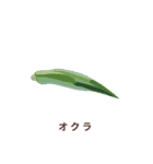 お野菜にダジャレを添えたスタンプ（個別スタンプ：17）