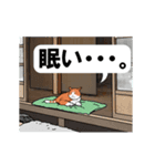 猫でも出来るサーフィン3（個別スタンプ：24）