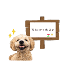 ラテ君とハリー君（個別スタンプ：6）
