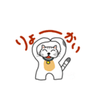 ウチのネコ、リクとジョー 01（個別スタンプ：1）