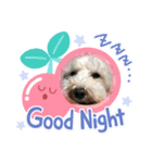 ごあいさつうーにゃん♡（個別スタンプ：3）
