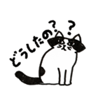猫のパン君（個別スタンプ：5）