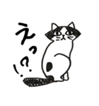 猫のパン君（個別スタンプ：8）