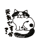 猫のパン君（個別スタンプ：10）