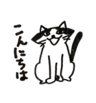 猫のパン君（個別スタンプ：14）