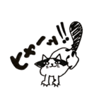 猫のパン君（個別スタンプ：17）