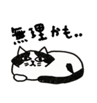 猫のパン君（個別スタンプ：19）