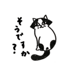 猫のパン君（個別スタンプ：26）