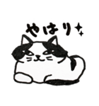猫のパン君（個別スタンプ：30）