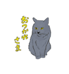 ニャンとも鞆ねこ 〜ぐれちゃん編〜（個別スタンプ：3）