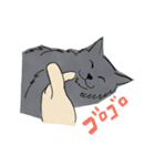ニャンとも鞆ねこ 〜ぐれちゃん編〜（個別スタンプ：5）