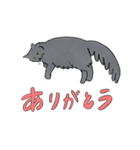 ニャンとも鞆ねこ 〜ぐれちゃん編〜（個別スタンプ：13）