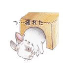 ゆるふわうさぎライフ2（個別スタンプ：20）