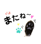 ♡にゃんず3♡（個別スタンプ：1）