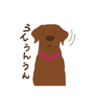 チョコラブKoaちゃんのLINEスタンプ（個別スタンプ：2）