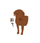 チョコラブKoaちゃんのLINEスタンプ（個別スタンプ：3）