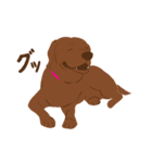 チョコラブKoaちゃんのLINEスタンプ（個別スタンプ：5）