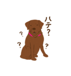 チョコラブKoaちゃんのLINEスタンプ（個別スタンプ：7）