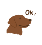 チョコラブKoaちゃんのLINEスタンプ（個別スタンプ：8）
