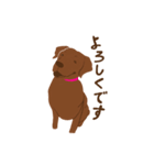 チョコラブKoaちゃんのLINEスタンプ（個別スタンプ：12）