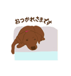 チョコラブKoaちゃんのLINEスタンプ（個別スタンプ：14）