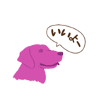チョコラブKoaちゃんのLINEスタンプ（個別スタンプ：15）