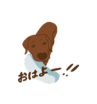チョコラブKoaちゃんのLINEスタンプ（個別スタンプ：16）