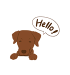 チョコラブKoaちゃんのLINEスタンプ（個別スタンプ：17）