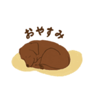 チョコラブKoaちゃんのLINEスタンプ（個別スタンプ：19）