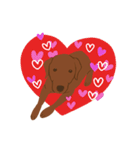 チョコラブKoaちゃんのLINEスタンプ（個別スタンプ：21）