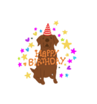 チョコラブKoaちゃんのLINEスタンプ（個別スタンプ：24）