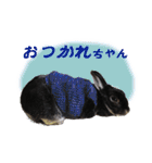 うさぎなりに挨拶（個別スタンプ：4）