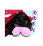 うさぎなりに挨拶（個別スタンプ：6）