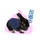 うさぎなりに挨拶（個別スタンプ：27）
