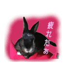 うさぎなりに挨拶（個別スタンプ：28）