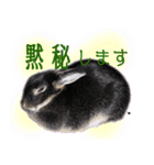 うさぎなりに挨拶（個別スタンプ：30）
