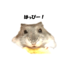 キムチです。2個目（個別スタンプ：1）