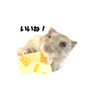 キムチです。2個目（個別スタンプ：2）