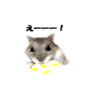 キムチです。2個目（個別スタンプ：4）