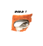 キムチです。2個目（個別スタンプ：7）