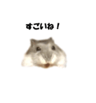 キムチです。2個目（個別スタンプ：9）