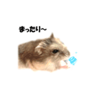 キムチです。2個目（個別スタンプ：11）