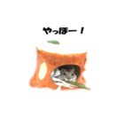 キムチです。2個目（個別スタンプ：12）